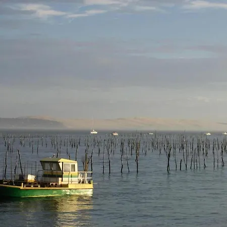 Poolside Escape By Arcachon