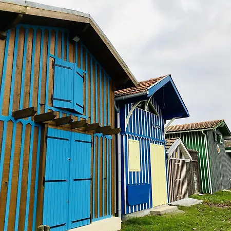 Poolside Escape By Arcachon