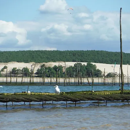 Сasa de vacaciones Poolside Escape By Arcachon *