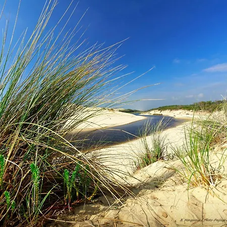 Feriehus Poolside Escape By Arcachon La Teste-de-Buch
