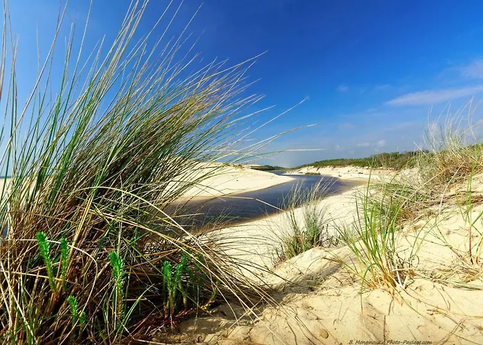 Semesterbostad Poolside Escape By Arcachon La Teste-de-Buch
